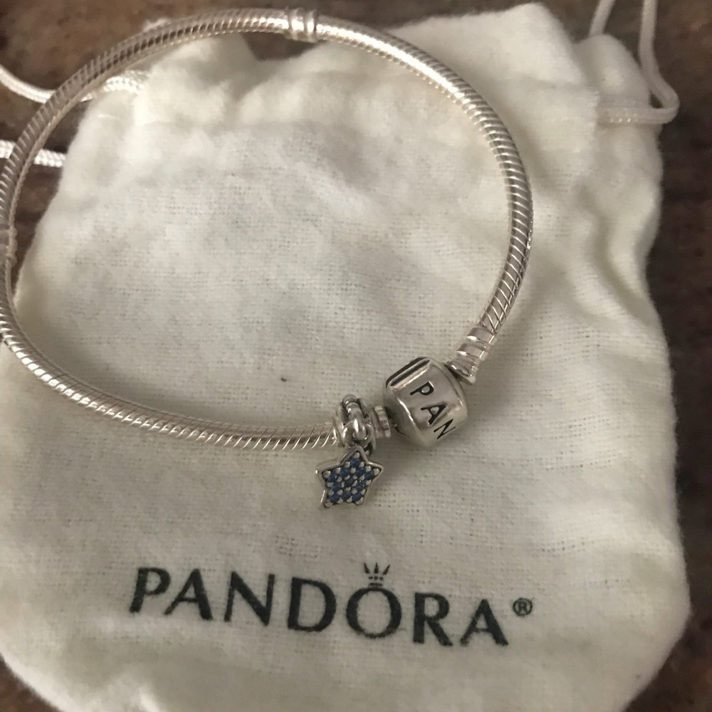 Authentic Pandora Iconic Silver Charm Bracelet